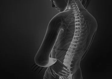 spinal-cord-banner.jpg